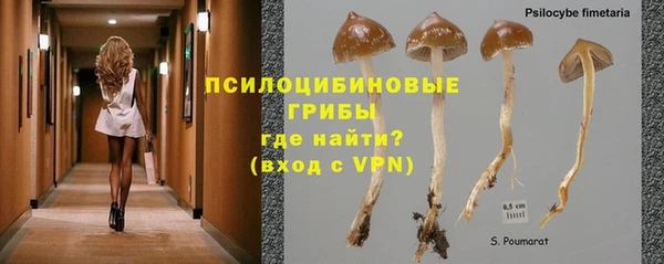 амф Зеленокумск