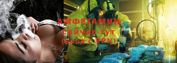 дмт Ельня