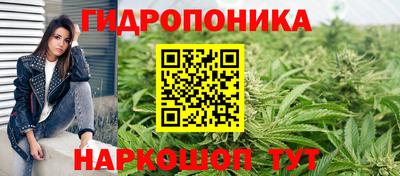MESCALINE Гатчина