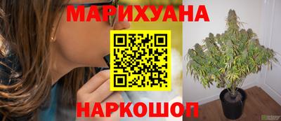 стафф Гагарин