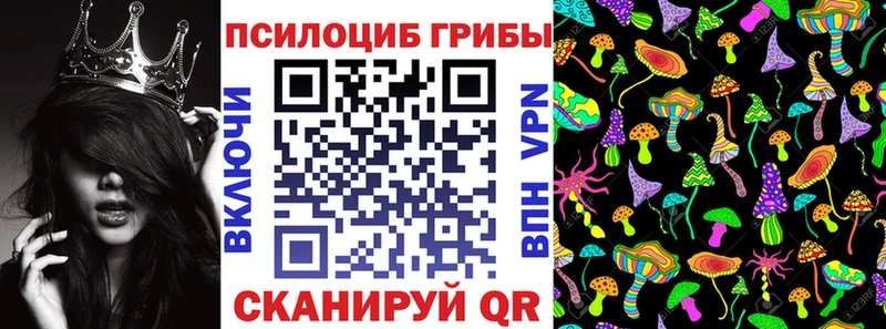 цена   ОМГ ОМГ ссылка  Галлюциногенные грибы Psilocybine cubensis  Коломна 