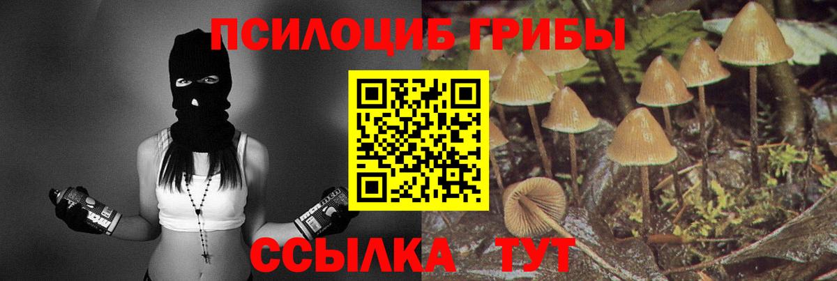 Псилоцибиновые грибы Cubensis Коломна